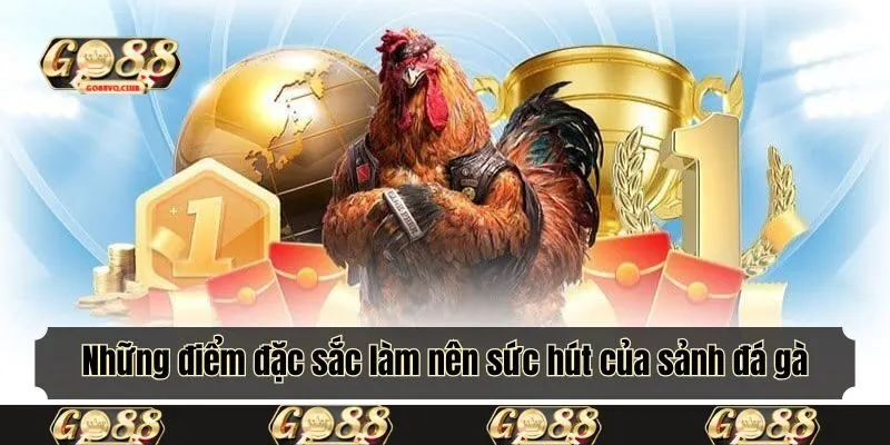 Những điểm đặc sắc làm nên sức hút của sảnh đá gà